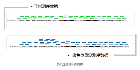 PGS技术—明确习惯性流产真正原因 筛选健康优质胚胎