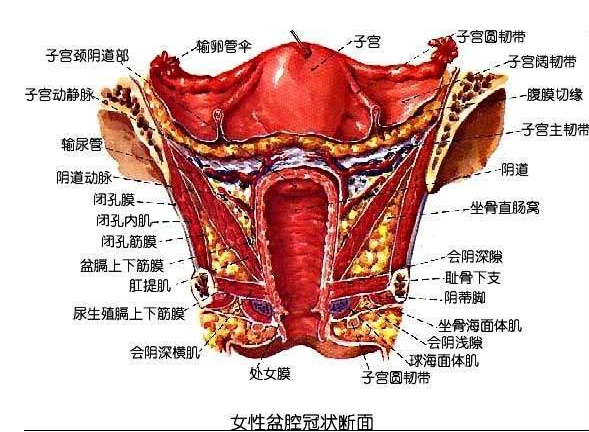 盆腔炎能做广州试管第三方生殖助孕吗？成功率高吗？