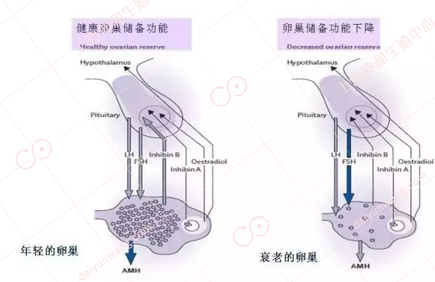 微信图片_20190107150812.png