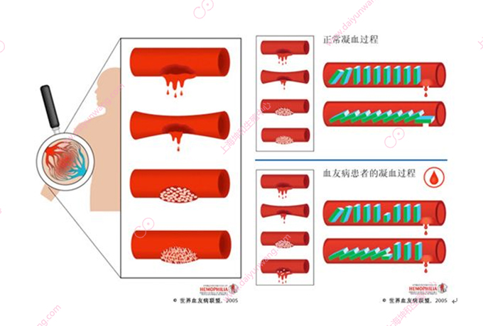 微信图片_20190328104402.jpg